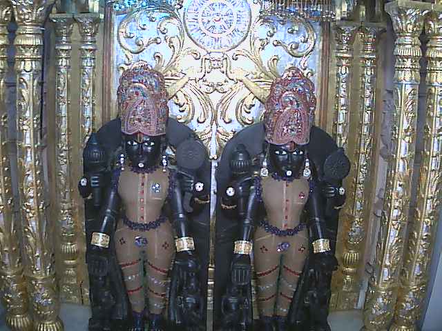 Shree Nar-Narayan Dev